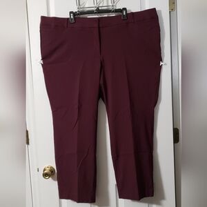Lane Bryant Burgundy Ankle Pants